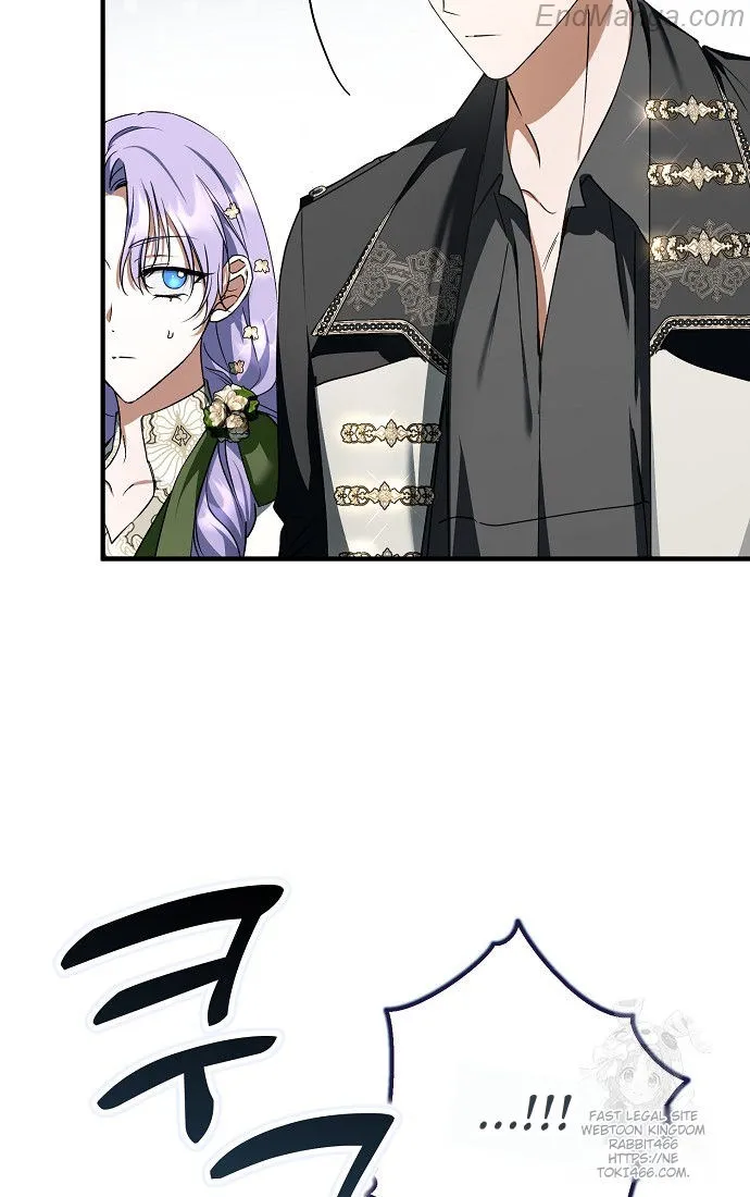 The Male Leads Were Stolen by the Extra Chapter 41 - Page 41