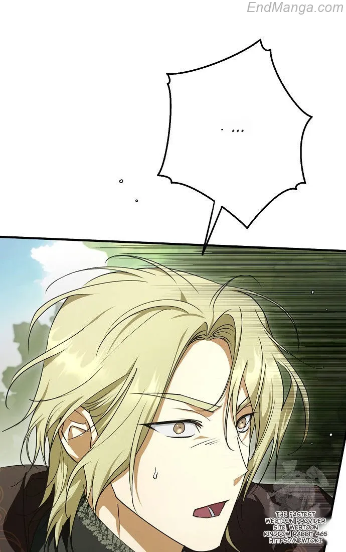 The Male Leads Were Stolen by the Extra Chapter 41 - Page 43