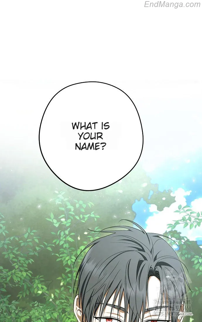 The Male Leads Were Stolen by the Extra Chapter 41 - Page 46