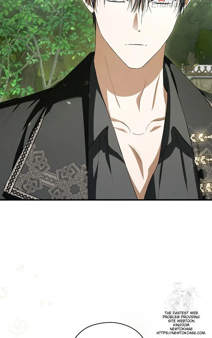 The Male Leads Were Stolen by the Extra Chapter 41 - Page 47