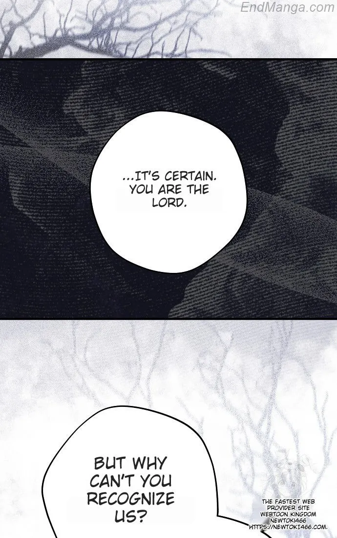 The Male Leads Were Stolen by the Extra Chapter 41 - Page 72