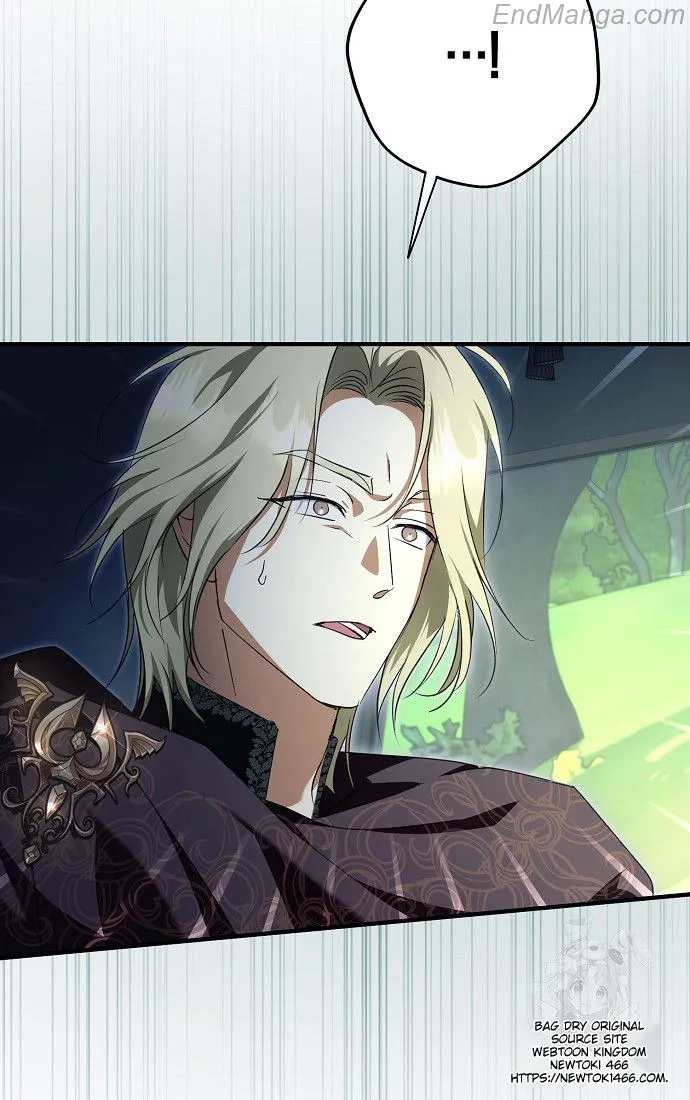 The Male Leads Were Stolen by the Extra Chapter 41 - Page 85