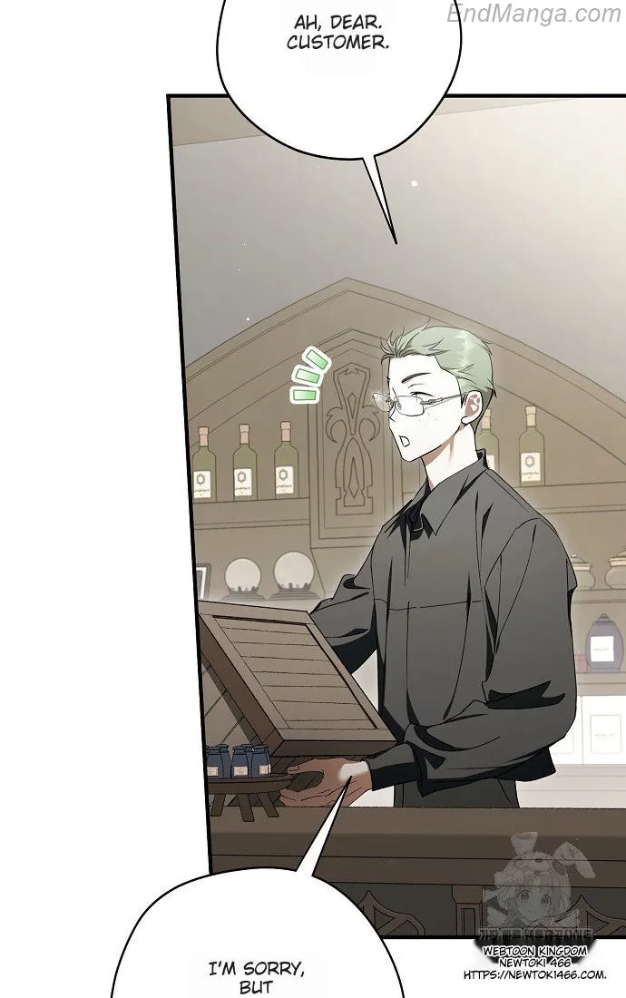 The Male Leads Were Stolen by the Extra Chapter 41 - Page 96