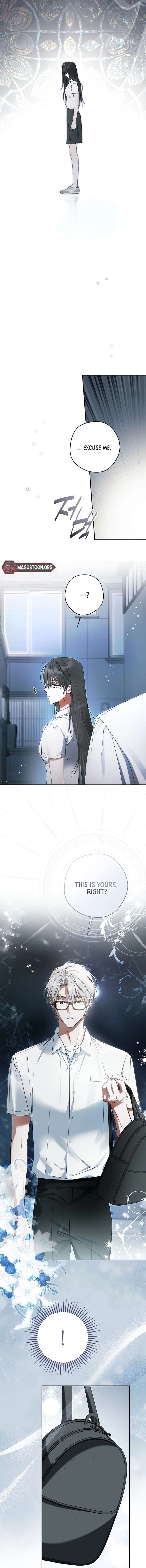 The Male Leads Were Stolen by the Extra Chapter 71 - Page 14