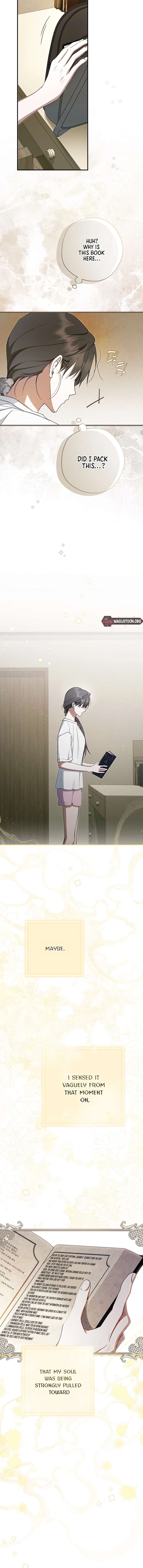 The Male Leads Were Stolen by the Extra Chapter 71 - Page 19