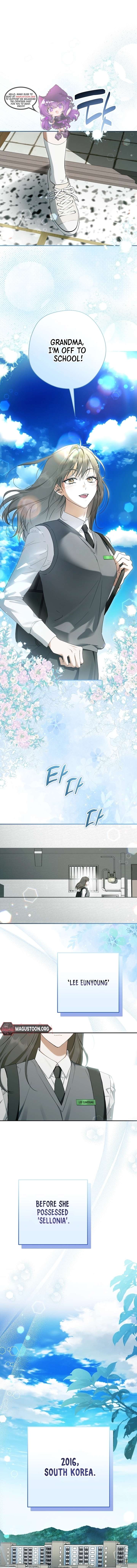 The Male Leads Were Stolen by the Extra Chapter 71 - Page 2