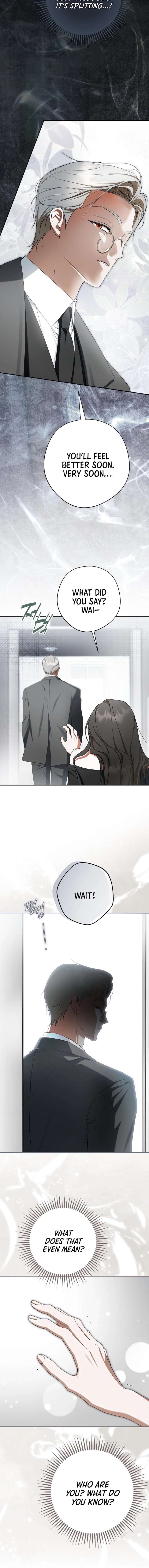 The Male Leads Were Stolen by the Extra Chapter 72 - Page 12