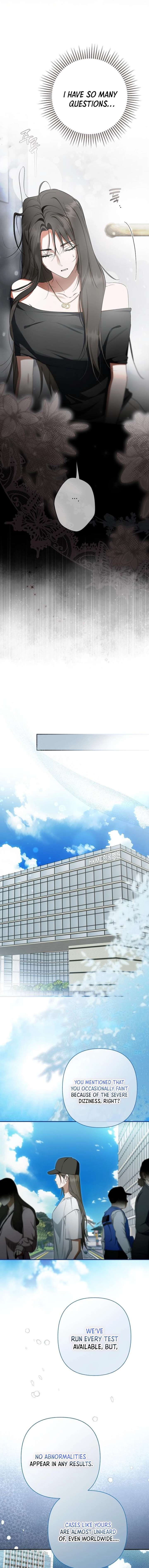 The Male Leads Were Stolen by the Extra Chapter 72 - Page 13