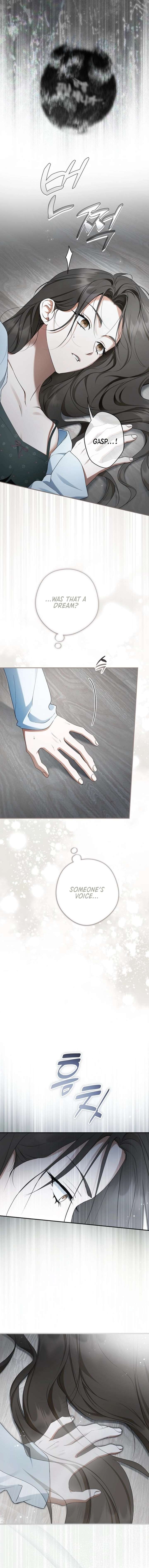 The Male Leads Were Stolen by the Extra Chapter 72 - Page 16