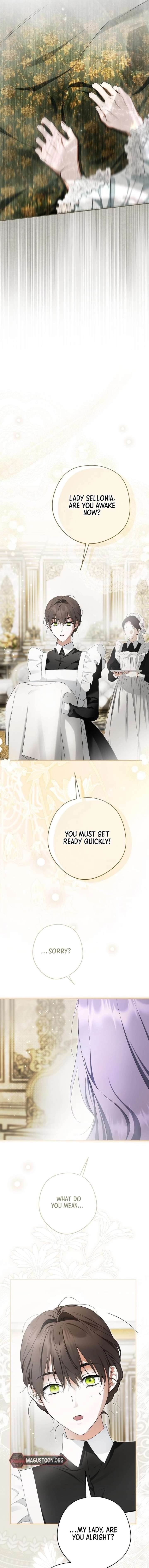 The Male Leads Were Stolen by the Extra Chapter 72 - Page 19