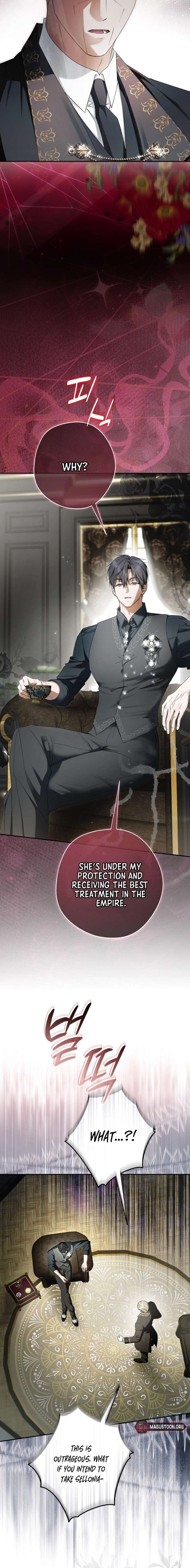 The Male Leads Were Stolen by the Extra Chapter 73 - Page 17