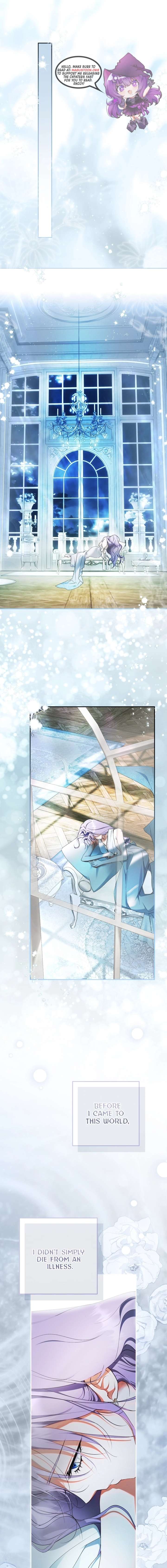 The Male Leads Were Stolen by the Extra Chapter 73 - Page 2