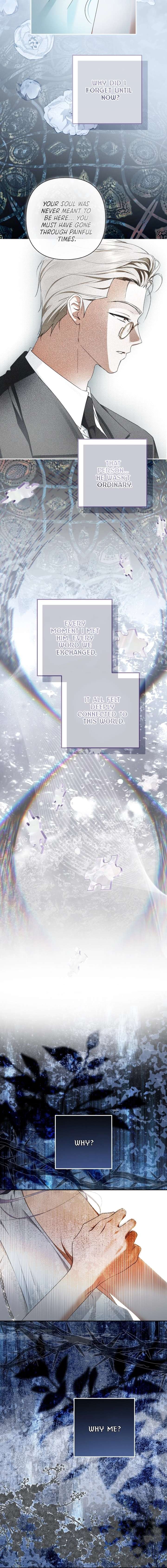 The Male Leads Were Stolen by the Extra Chapter 73 - Page 3