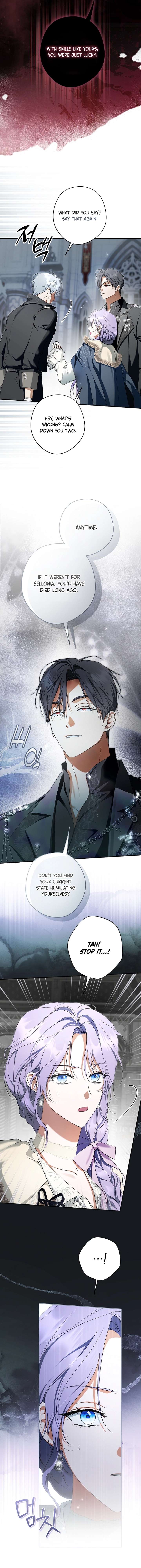 The Male Leads Were Stolen by the Extra Chapter 74 - Page 17