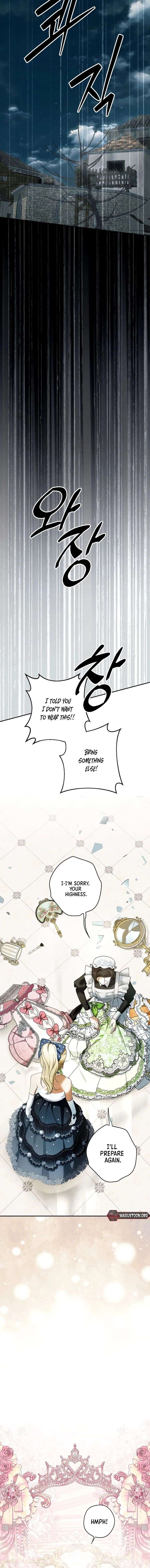 The Male Leads Were Stolen by the Extra Chapter 75 - Page 11