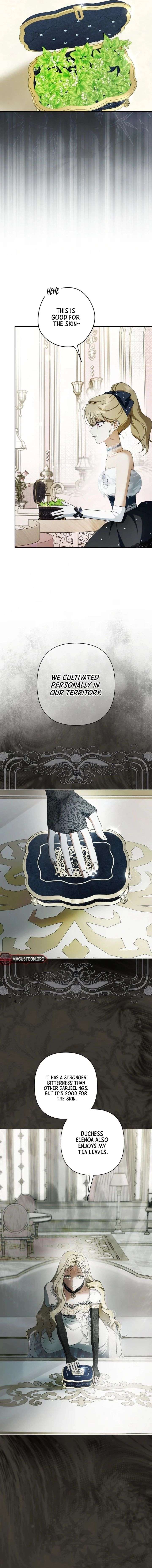 The Male Leads Were Stolen by the Extra Chapter 75 - Page 14