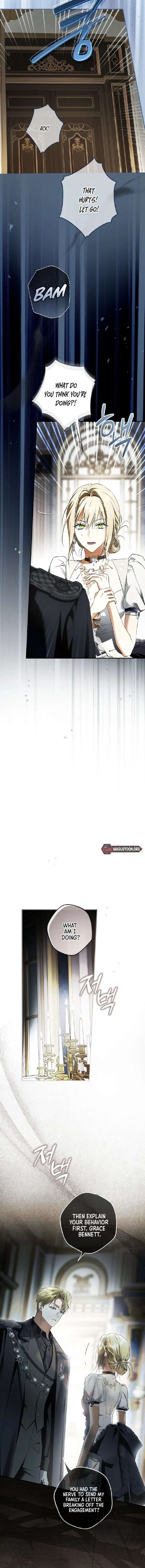 The Male Leads Were Stolen by the Extra Chapter 77 - Page 12