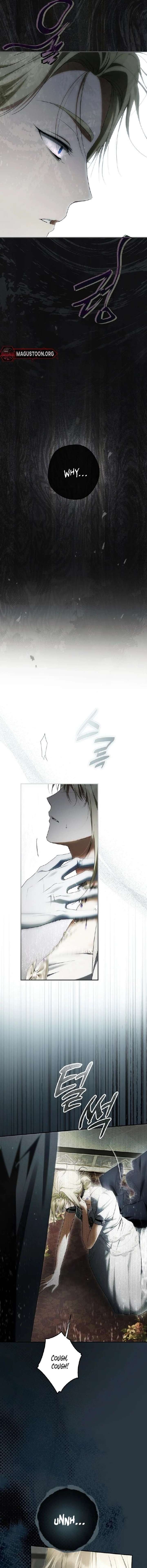 The Male Leads Were Stolen by the Extra Chapter 77 - Page 15