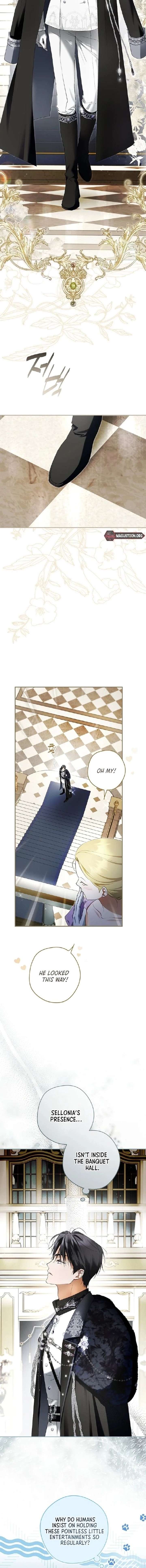 The Male Leads Were Stolen by the Extra Chapter 77 - Page 18