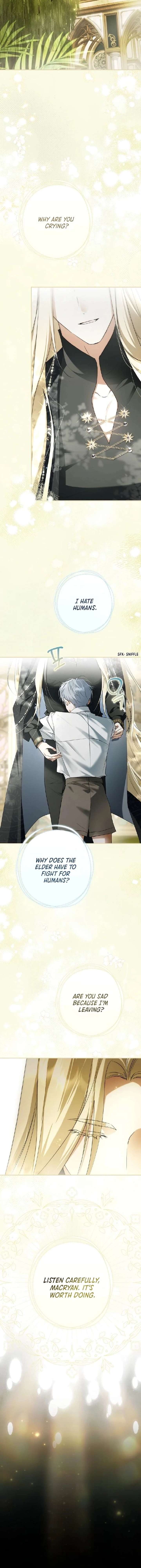 The Male Leads Were Stolen by the Extra Chapter 78 - Page 7