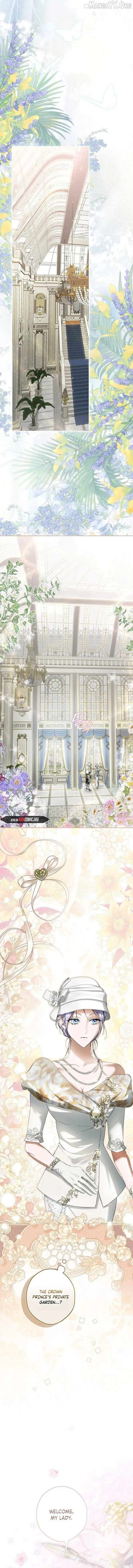 The Male Leads Were Stolen by the Extra Chapter 82 - Page 9