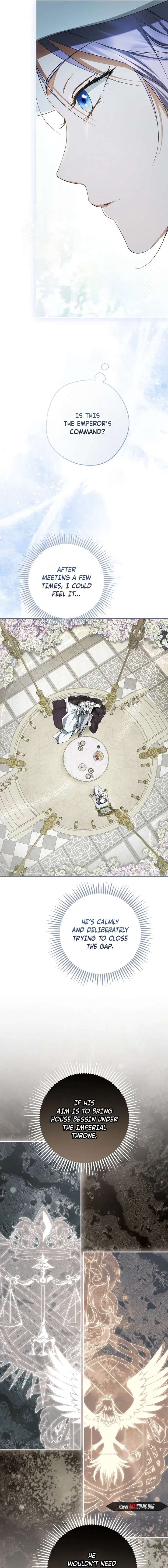 The Male Leads Were Stolen by the Extra Chapter 83 - Page 17