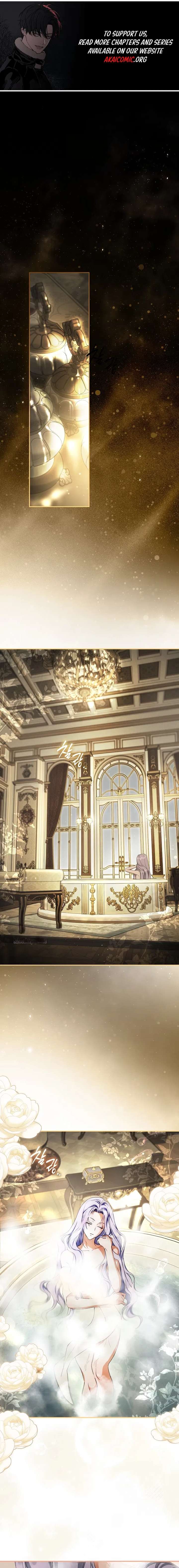 The Male Leads Were Stolen by the Extra Chapter 85 - Page 1