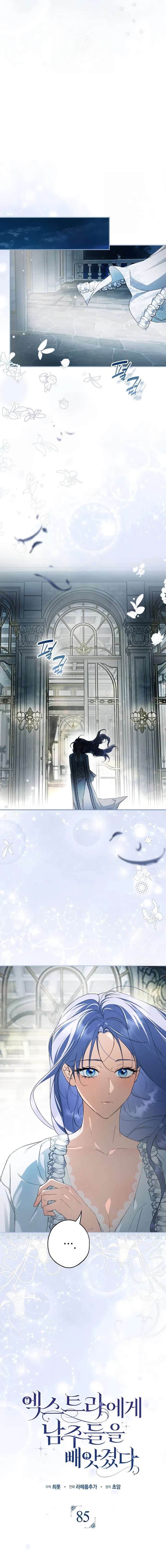 The Male Leads Were Stolen by the Extra Chapter 85 - Page 14