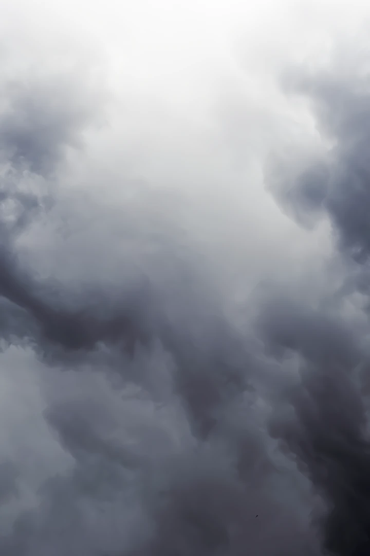 How to Survive as a Maid in a Horror Game Chapter 55 - Page 2