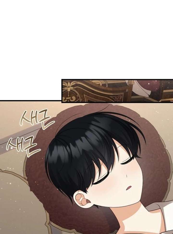 I Became the Mother of the Supporting Male Lead’s Son Chapter 43 - Page 48