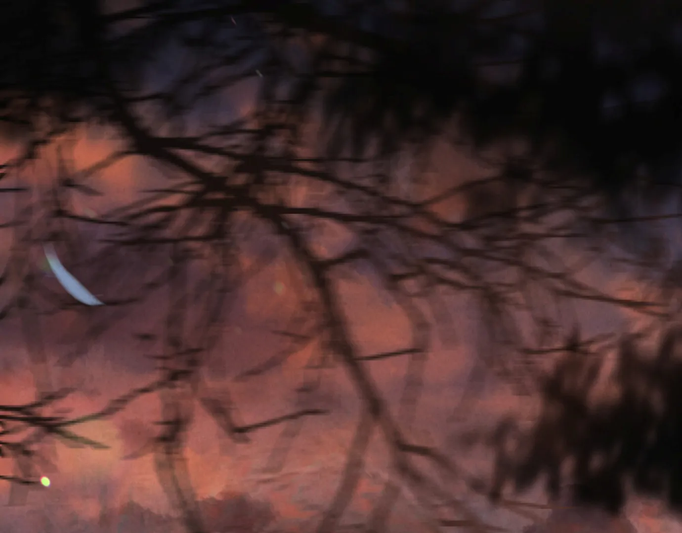 Wild Night Chapter 67 - Page 143