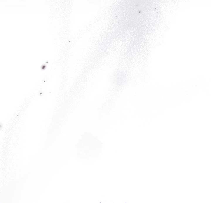 Wild Night Chapter 68 - Page 24