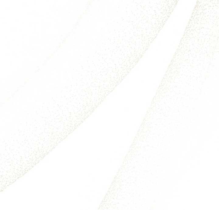 Wild Night Chapter 68 - Page 86