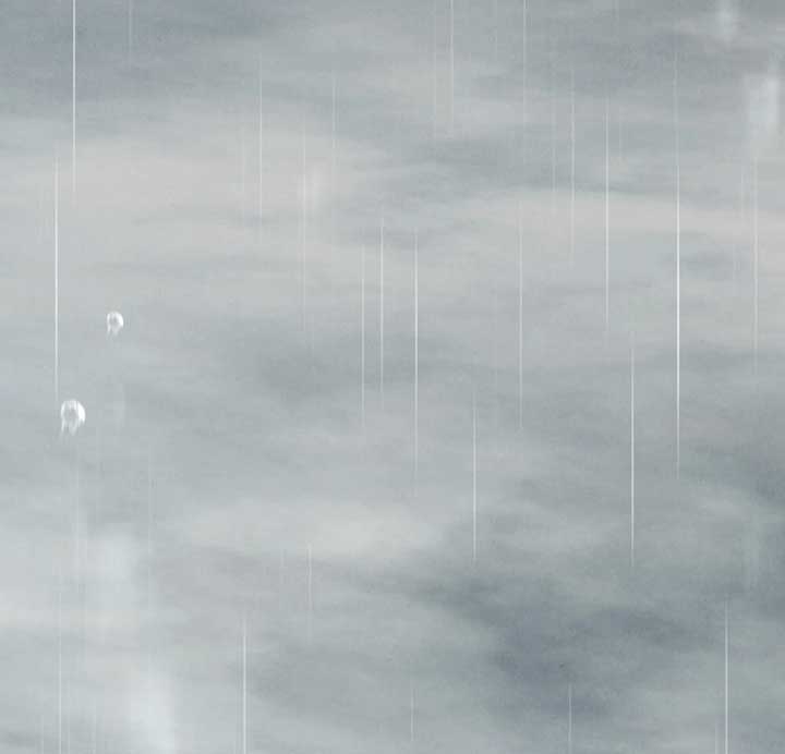 Wild Night Chapter 72 - Page 25