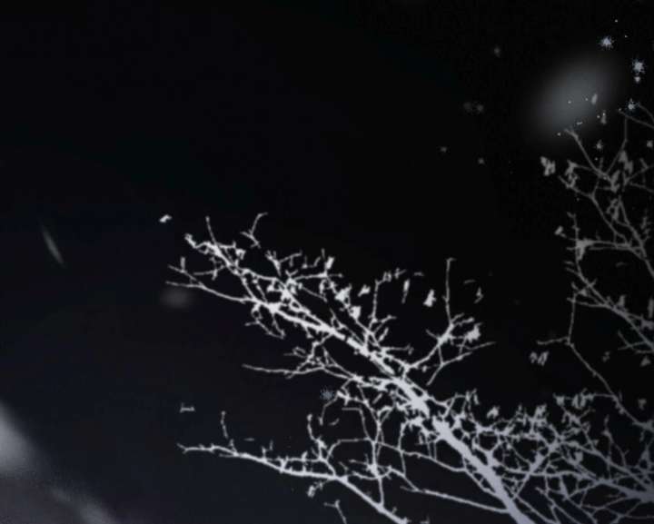 Wild Night Chapter 77 - Page 122