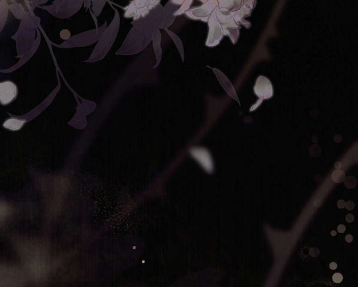 Wild Night Chapter 77 - Page 5