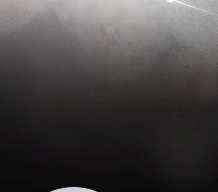 Wild Night Chapter 78 - Page 22