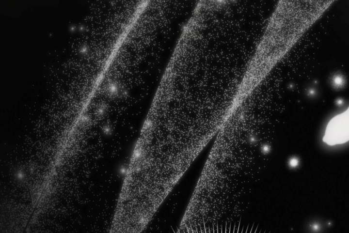 Wild Night Chapter 80 - Page 102