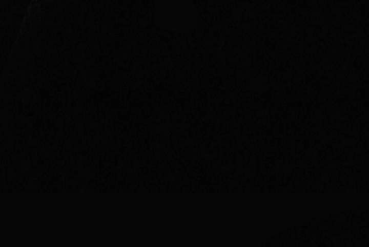 Wild Night Chapter 80 - Page 119