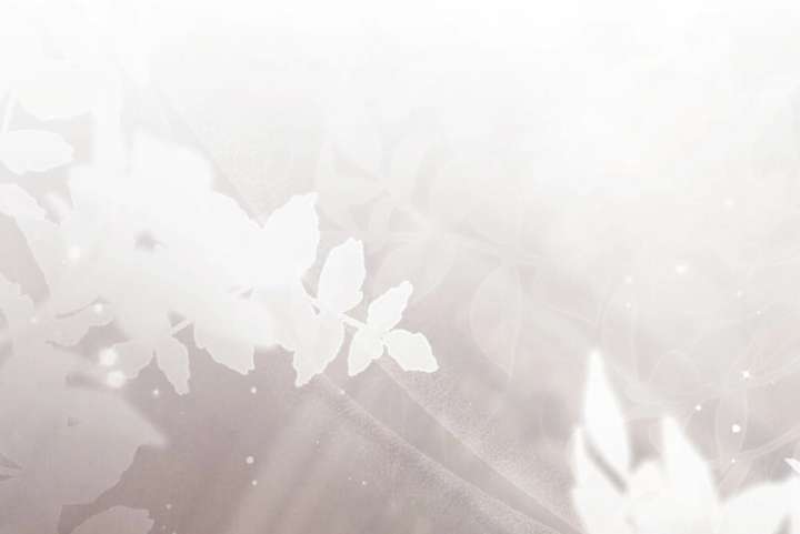 Wild Night Chapter 80 - Page 124