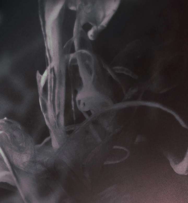 Wild Night Chapter 83 - Page 43