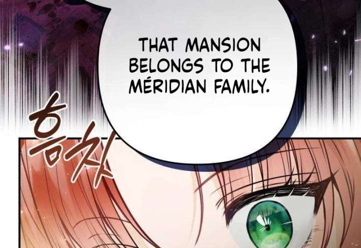 The Witch’s Tears Become Poison Chapter 9 - Page 47