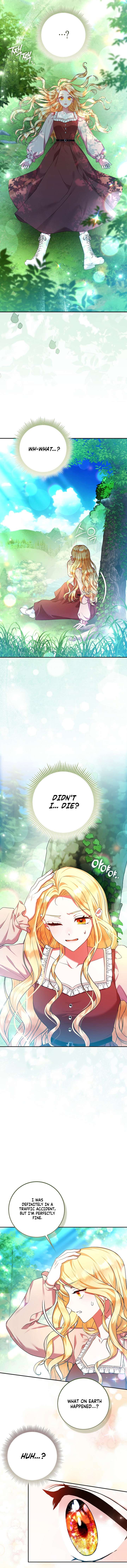 I’m a Fairy, Not a Saintess Chapter 1 - Page 9