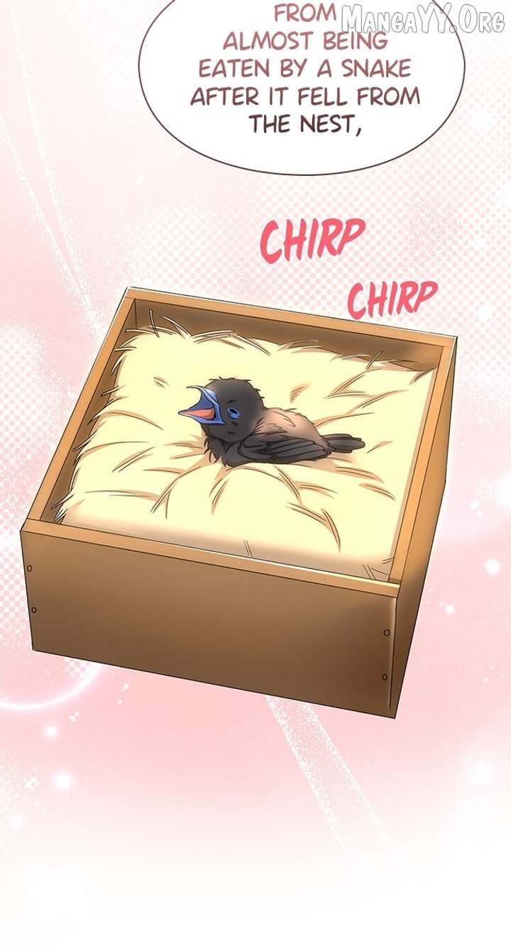 The Circumstances of the Lying Empress Chapter 27 - Page 24