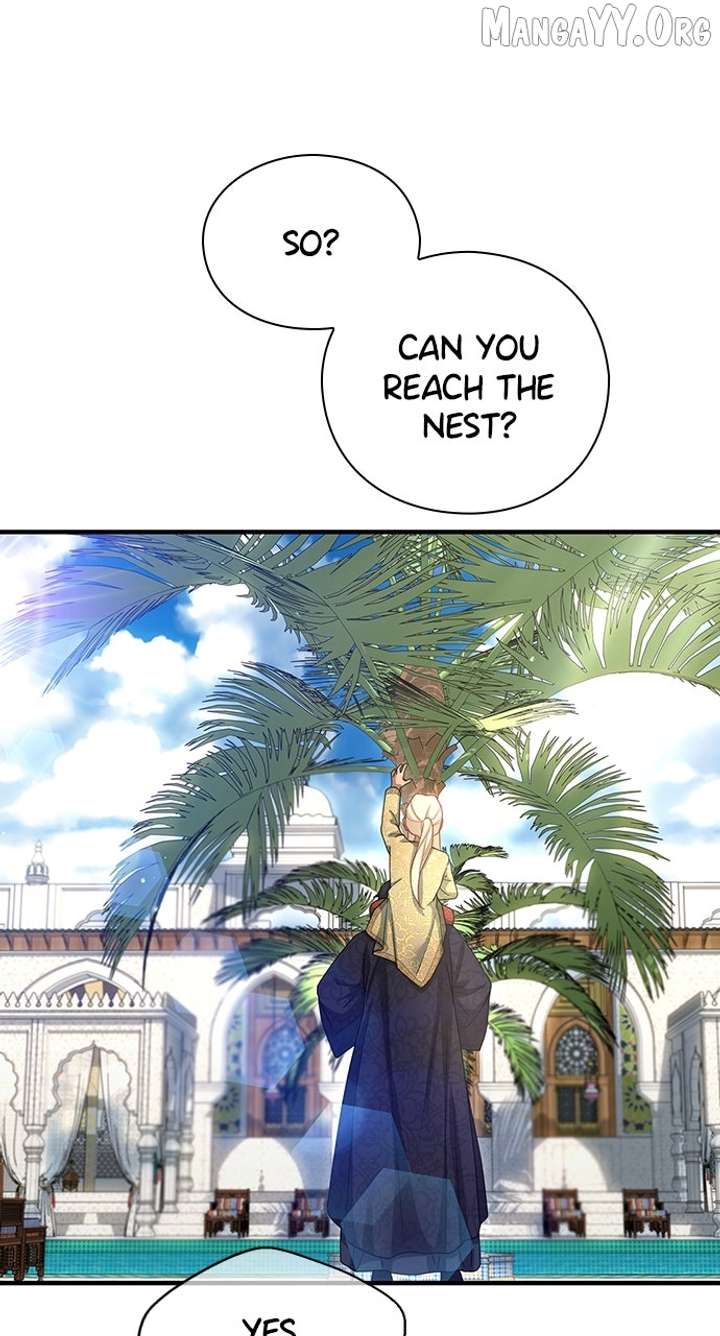 The Circumstances of the Lying Empress Chapter 27 - Page 44