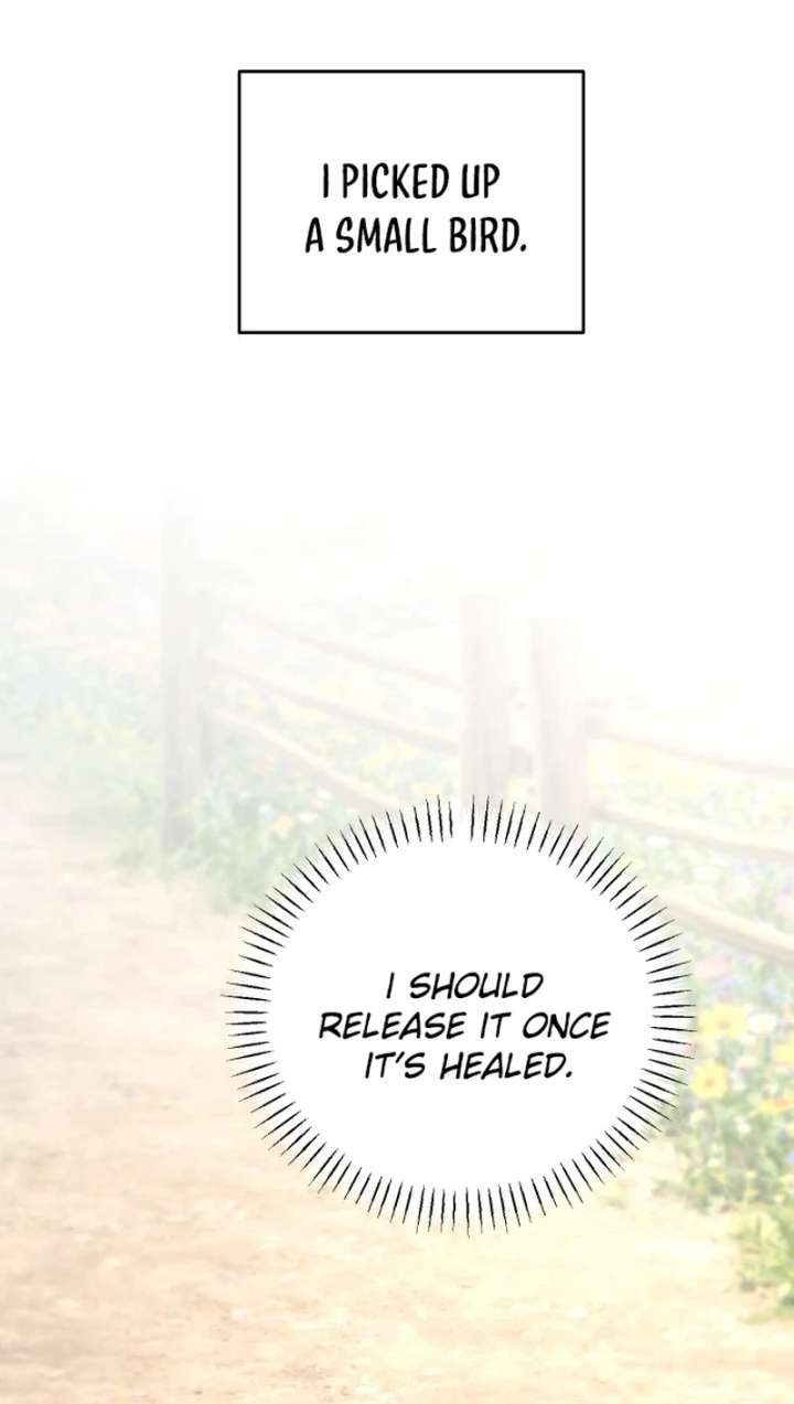 I Adopted a Male Lead From a Prison Shelter Chapter 104 - Page 12