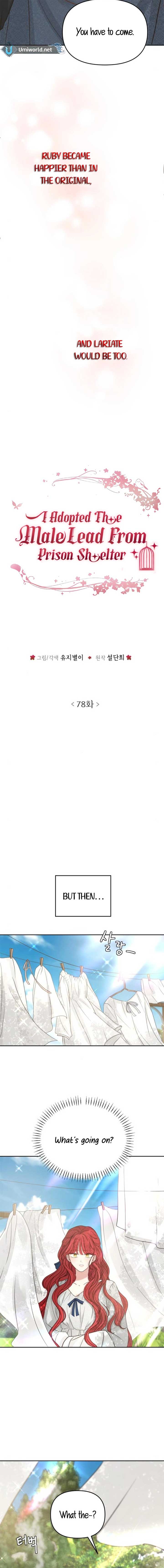 I Adopted a Male Lead From a Prison Shelter Chapter 78 - Page 2