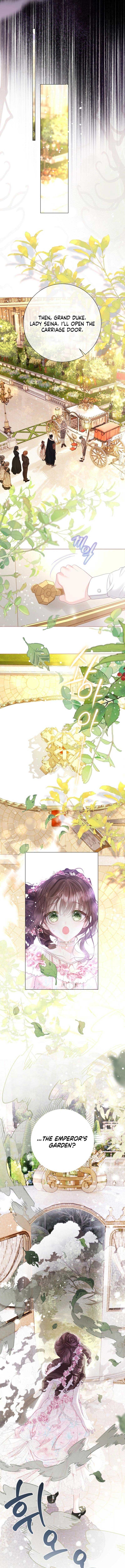 The World Without My Sister Who Everyone Loved Chapter 71 - Page 9