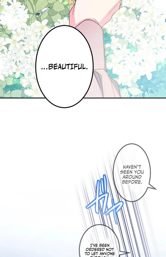 I’m Pregnant, But I Won’t Marry Without Love Chapter 47 - Page 5