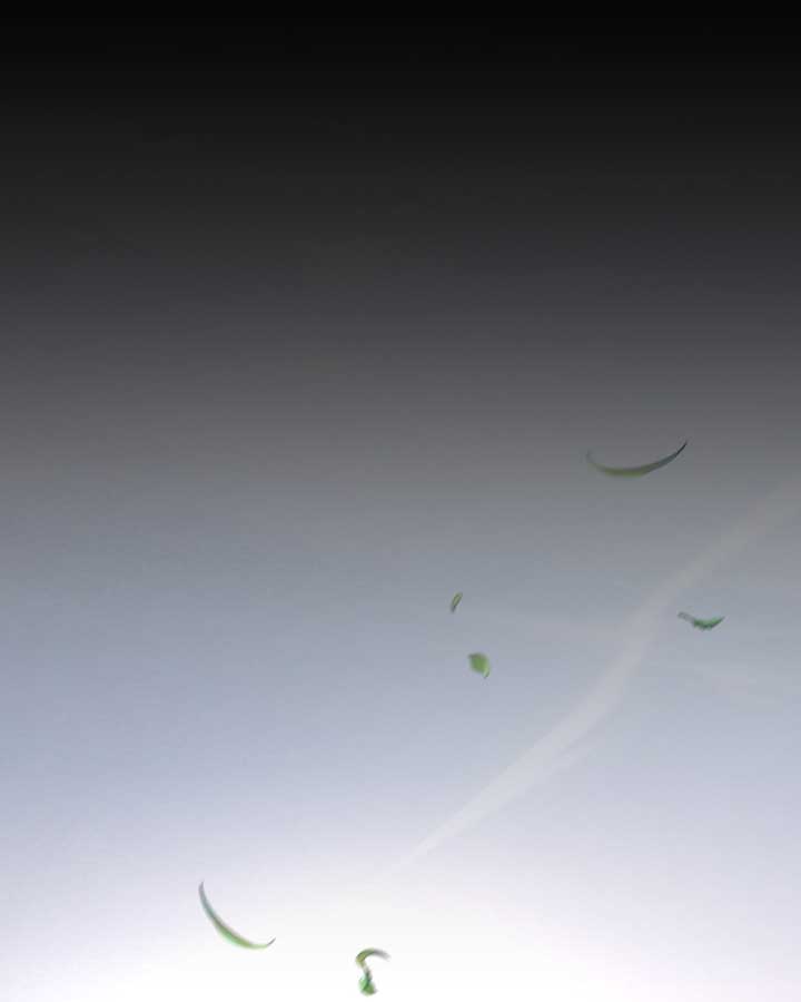 Code Demon Chapter 32 - Page 33